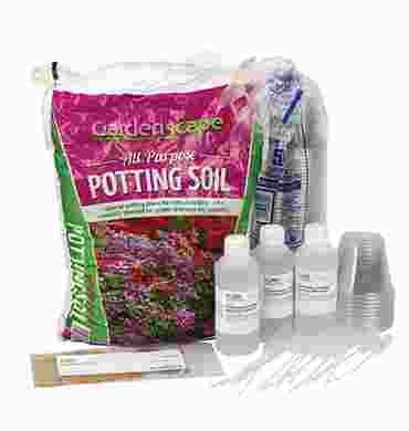 Nutrient Deficiency in Plants Hydroponics Laboratory Kit for Biology and Life Science