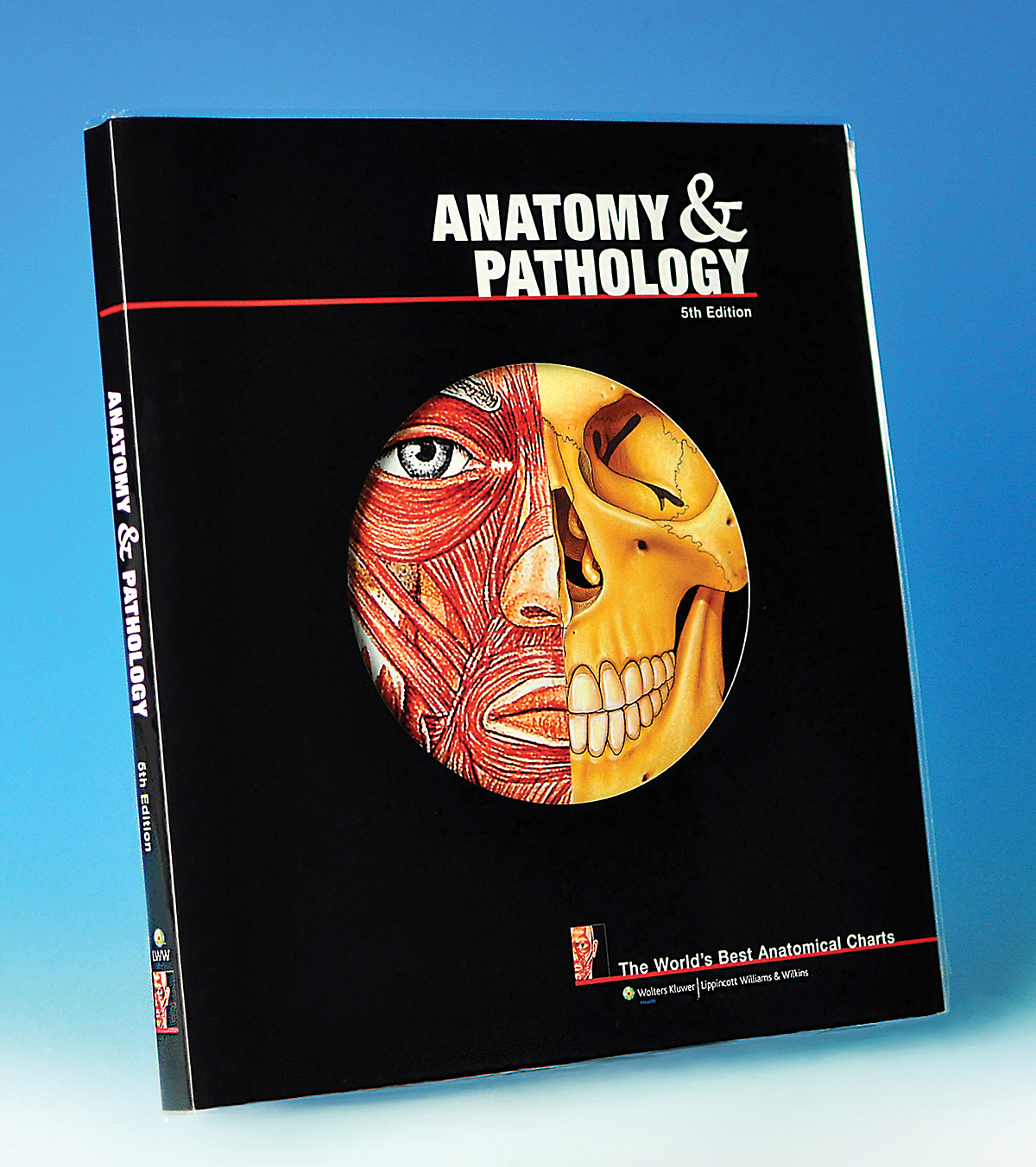 The World S Best Anatomical Chart Series