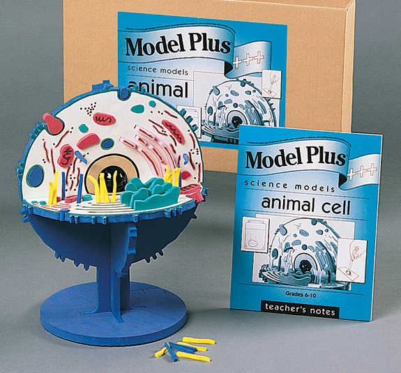 Animal Cell Model Kit | Flinn Scientific