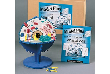 Animal Cell Model Kit for Biology and Life Science