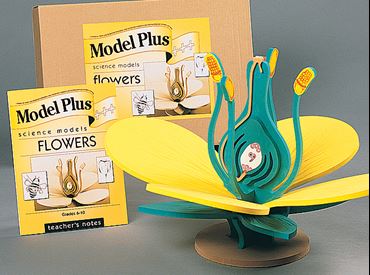 Flower Model Kit for Biology and Life Science