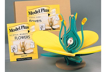 Flower Model Kit for Biology and Life Science