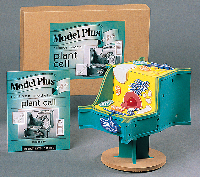 science model kit