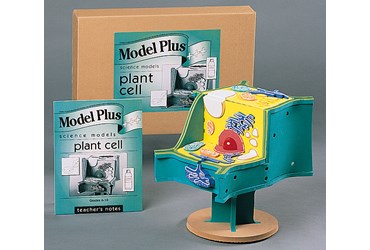 Plant Cell Model Kit for Biology and Life Science
