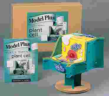 Plant Cell Model Kit for Biology and Life Science