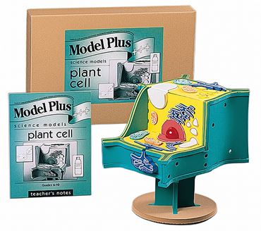 Plant Cell Model Kit for Biology and Life Science