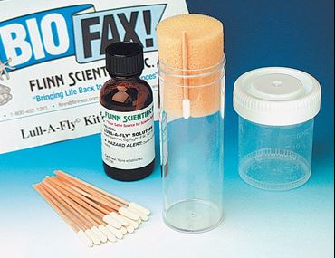 Drosophila Anesthetizer Lull-a-Fly™ Kit