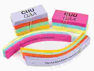 Genetic Code Activity Kit for Biology and Life Science