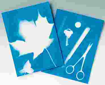 Photosensitive Sun Print Paper for Biology and Life Science