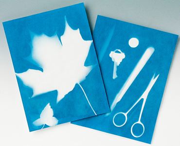 Photosensitive Sun Print Paper for Biology and Life Science