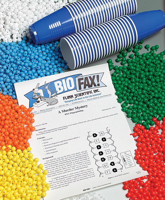 a murder mystery dna fingerprinting super value laboratory kit dna fingerprinting lab answers