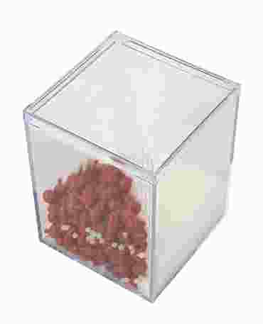 Diffusion Demonstration Model for Biology and Life Science