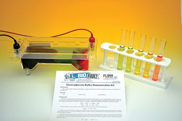 biotechnology, biology, electrophoresis