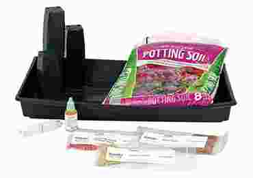 Genetically-Modified Food Genetics Laboratory Kit for Biology