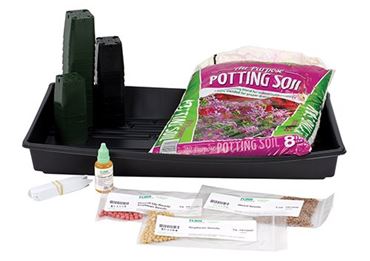 Genetically-Modified Food Genetics Laboratory Kit for Biology