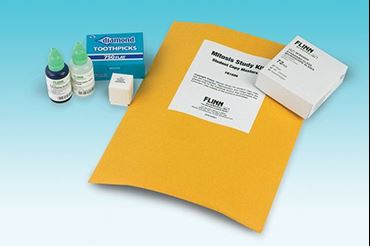 Mitosis Study Kit for Biology and Life Science