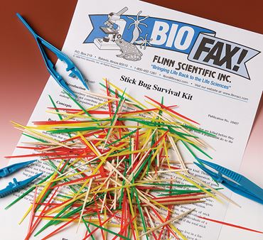 Stick Bug Survival and Natural Selection Laboratory Kit for Biology and Life Science
