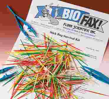 Stick Bug Survival and Natural Selection Laboratory Kit for Biology and Life Science