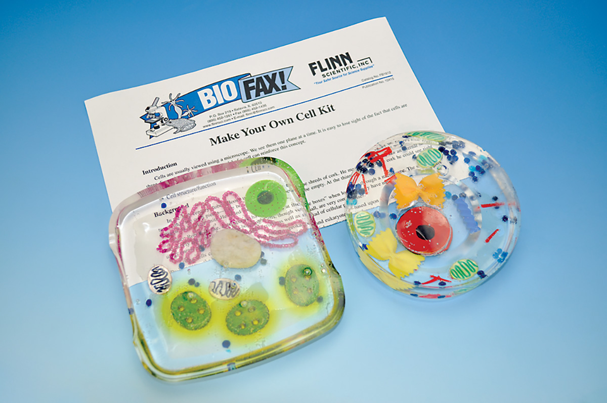 Make Your Own Cell Student Laboratory Kit Flinn Scientific