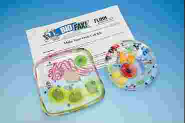 Make Your Own Cell Laboratory Kit for Biology and Life Science