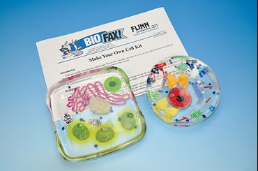 Make Your Own Cell Laboratory Kit for Biology and Life Science