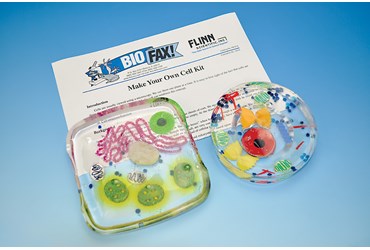 Make Your Own Cell Laboratory Kit for Biology and Life Science