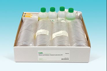 plants, seeds, radish seeds