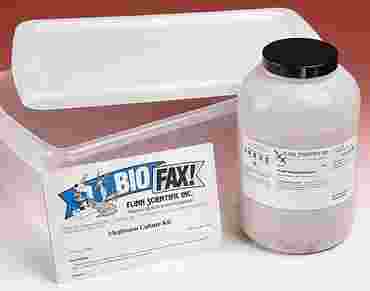 Mealworm Culture Kit