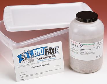 Mealworm Culture Kit
