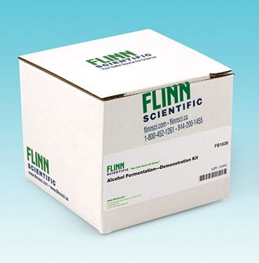 glucose, yeast, oxygen, carbon dioxide