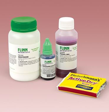 fermentation, biochemistry, chemical reaction