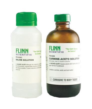 Chromosome Smears Laboratory Kit for Biology and Life Science