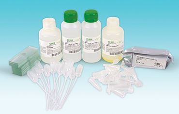 Introductory Slide-Making and Microscopy Laboratory Kit for Biology and Life Science