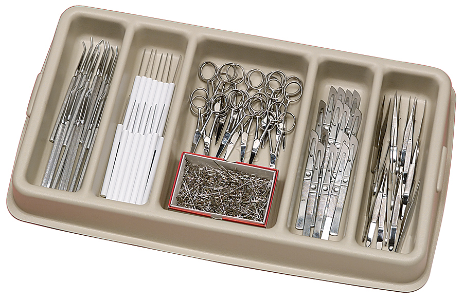 Classroom Dissection Set 