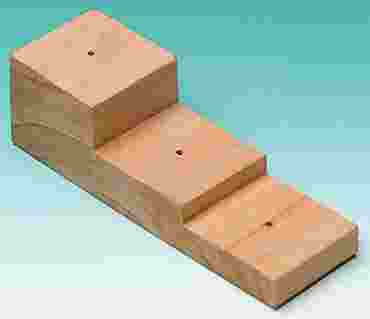 Insect Pinning Block