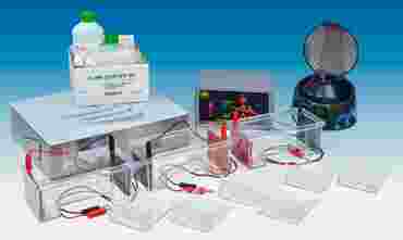 Biotechnology Electrophoresis Comprehensive Laboratory System