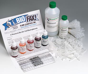 A Process to Dye for: Gel Electrophoresis Laboratory Kit for Biotechnology