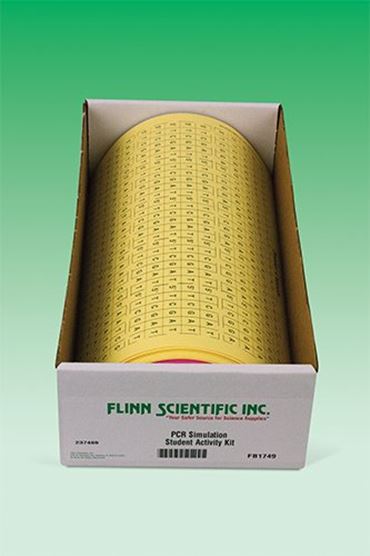 PCR, polymerase chain reaction