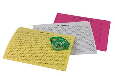 PCR Simulation Activity Kit for Biotechnology