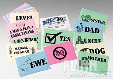 Palindromes and DNA Symmetry Concept Attainment Activity for Life Science