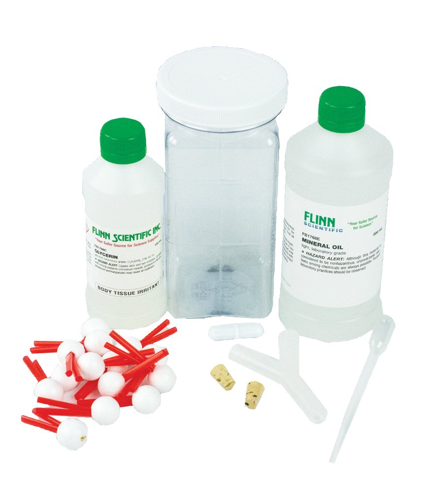 Plasma Membrane Model