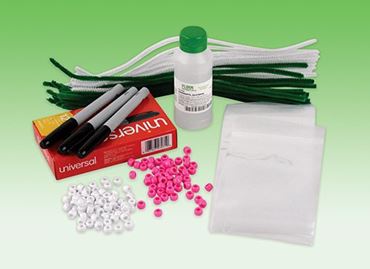 Allele's Crossing Over to the Other Side Meiosis Activity Kit for Biology and Life Science