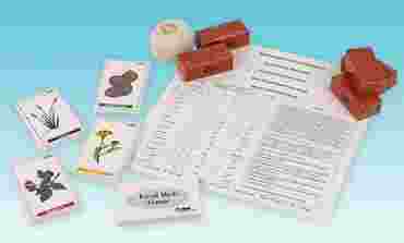 How a Food Web is Formed - Biology and Life Science Game