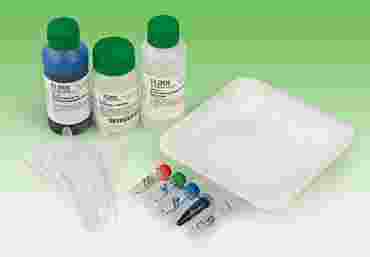 DNA Paternity Testing Forensic Science and Biotechnology Laboratory Kit