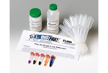 Why Do People Look Different? Biotechnology Laboratory Kit