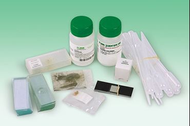 Exploring the Compound Microscope Laboratory Kit for Biology and Life Science