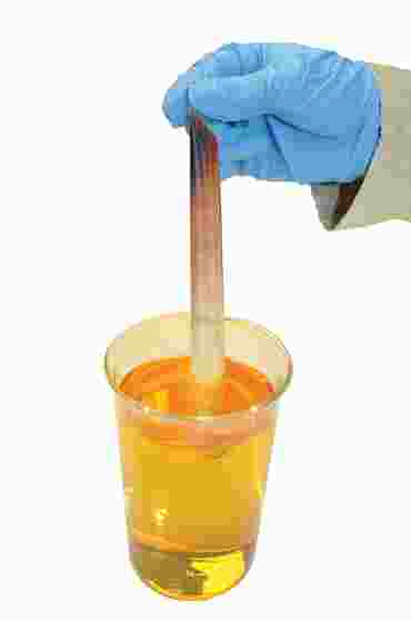 Diffusion and Osmosis Laboratory Kit for Classic AP* Biology Lab 1 (3 Groups)