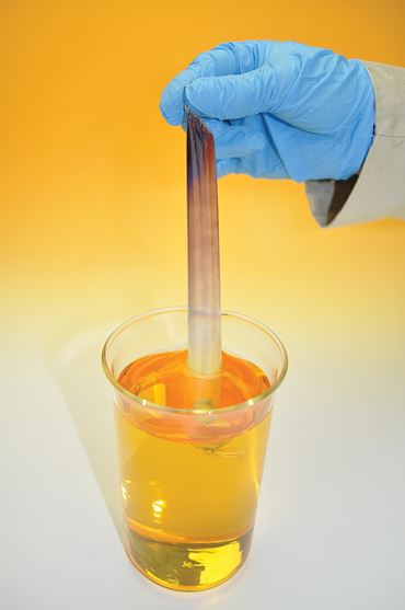 Diffusion and Osmosis Laboratory Kit for Classic AP* Biology Lab 1 (3 Groups)