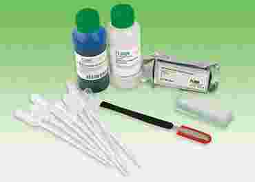 Mitosis Laboratory Kit for Classic AP* Biology Lab 3A (3 Groups)