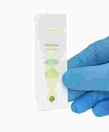 Plant Pigments and Photosynthesis Laboratory Kit for Classic AP* Biology Lab 4 (3 Groups)